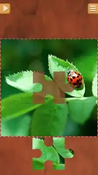 Leaf Jigsaw Puzzles Screen Shot 3