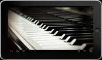 Piano Forte 2016 Free Screen Shot 1