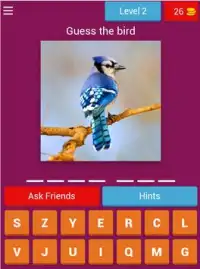 Birds Quiz - Learn All Birds! Screen Shot 10