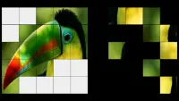 Oiseau LWP   Jeux Puzzle Screen Shot 2