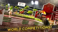 Arabian Horse Racing Adventure Screen Shot 9