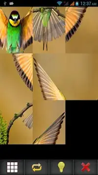 Birds Puzzle Screen Shot 5