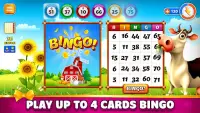 Pet Bingo: Bingo Game 2022 Screen Shot 3