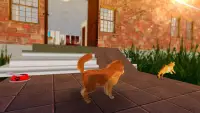 Furry Cutie: Simulateur de vie de chien miniature Screen Shot 3