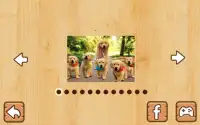 Animal Puzzles for Kids Screen Shot 1