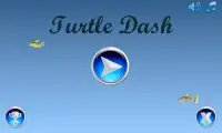 Turtle Dash Screen Shot 1