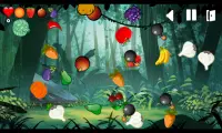 لعبة نينجا الفواكة و الخضروات Screen Shot 3