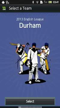 Hit Wicket Cricket - English County League Game Screen Shot 4