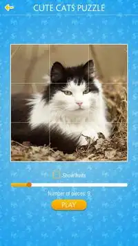 Cute Cats Jigsaw Puzzles Screen Shot 4