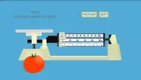 Triple Beam Balance Screen Shot 4