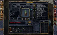 Baldur's Gate Enhanced Edition Screen Shot 13