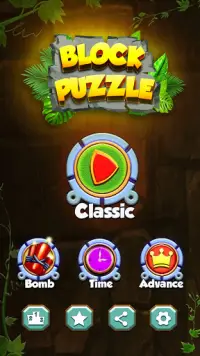 Block Puzzle Game: Woody Puzzle, Woody 99, Tetrio Screen Shot 23