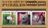 Mèo và Kittens Puzzles Screen Shot 6