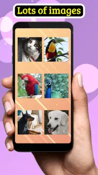 Animal: Pixel Art Color Number Screen Shot 5