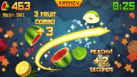 Fruit Ninja® Screen Shot 1