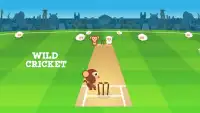 Trofeo de campeones - Cricket Fiebre 2017 Screen Shot 9