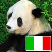 Animali in italiano