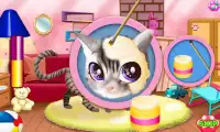 Kitty pet care salon Screen Shot 2