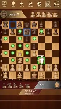 Шахматы Screen Shot 3
