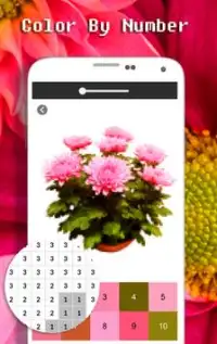 Chrysanthemum Flower Color By Number - Pixel Art Screen Shot 2