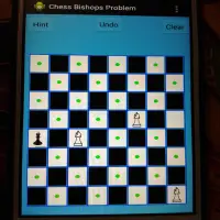 Chess Bishops Problem Screen Shot 3