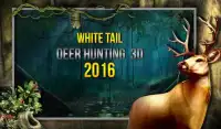 White Tail Deer Hunting 2016 Screen Shot 10
