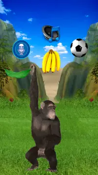 Funny Talking Monkey Screen Shot 7