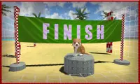 Cat Dog Pets Beach Stunts Sim Screen Shot 4