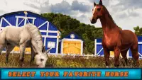 Horse Game: Horse Racing Adventure Screen Shot 1