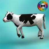 Calf Simulator