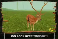 Deer Hunter 3D pogoni za dziki Screen Shot 3