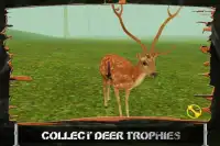 Forest Archer : Wild Deer Hunting Africa 2018 Screen Shot 3