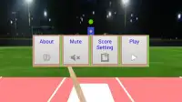 Demo for Baseball and Cricket Batting 3D SL and AI Screen Shot 3