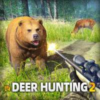 Chasse cerf 2 : saison chasse