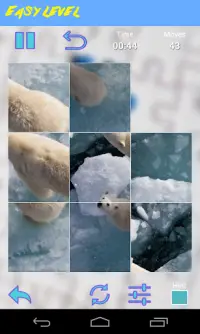 Bear Jigsaw Puzzle Screen Shot 3