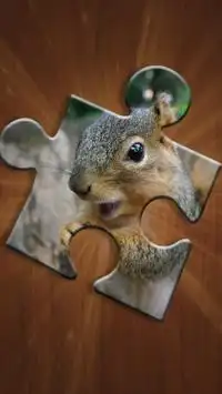 Puzzles de Animales para Niños Screen Shot 9