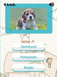 Puppy Dogs Quiz - Indovina razze popolari Screen Shot 6