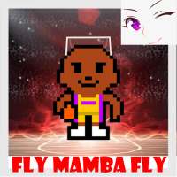 FLY MAMBA FLY!- Jump Around and get Basketballs