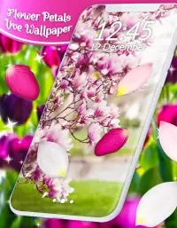 Spring Petals Live Wallpaper ❤️ Flower Wallpapers Screen Shot 6