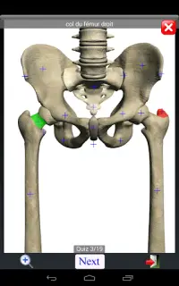 Anatomy Quiz Screen Shot 14