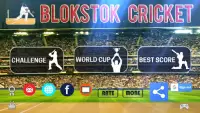 Blokstok Cricket Screen Shot 17