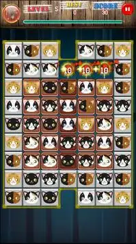 Cat Pop Match 3 Puzzle Screen Shot 0