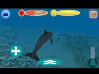 Sea Creatures (Simulator) Screen Shot 3
