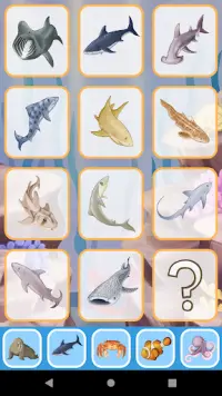 Звуки морских животных (развивающая детская игра) Screen Shot 2