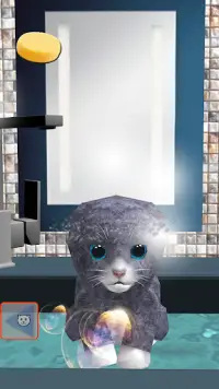 Gato Kitty Z - Mascota virtual gatito para cuidar Screen Shot 10