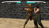 3D leggende kung fu combattere Screen Shot 1
