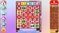 Bingo - Offline Bingo Games Screen Shot 4