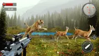 जंगली जानवर शिकार Animal Hunt Screen Shot 3