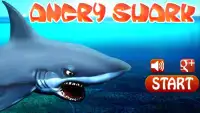 Angry Shark Screen Shot 0