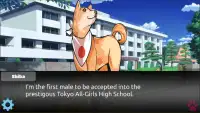 Shiba Love Story Screen Shot 1